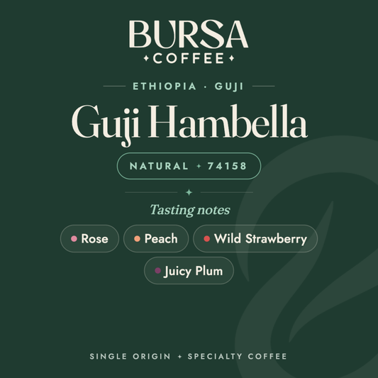 Ethiopia Bursa Guji Hambella Dimtu Natural - 1KG