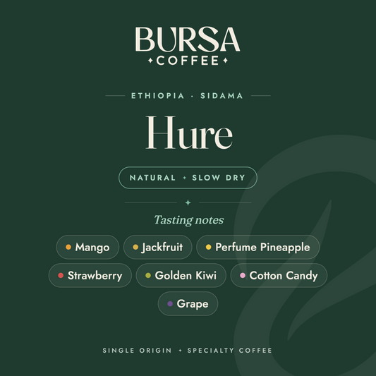 Ethiopia Bursa Sidama Hure Natural Slow Dry - 1KG
