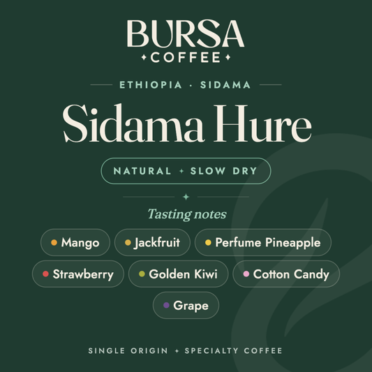 Ethiopia Bursa Sidama Hure Natural Slow Dry - 1KG