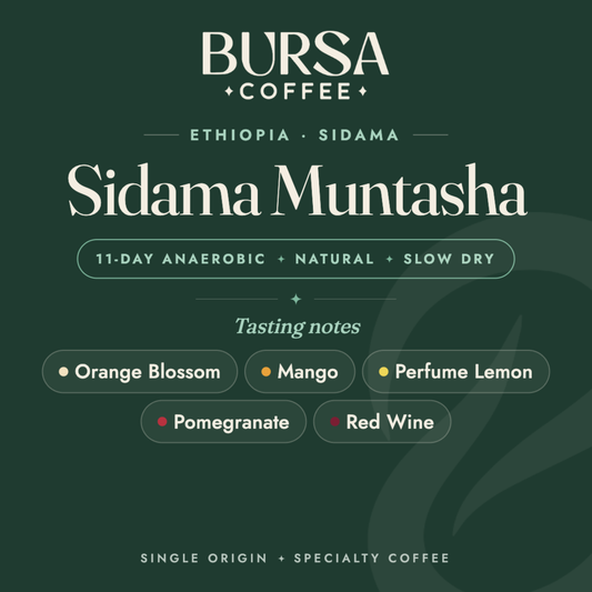 Ethiopia Bursa Sidama Muntasha 11D Anaerobic Natural Slow Dry - 1KG