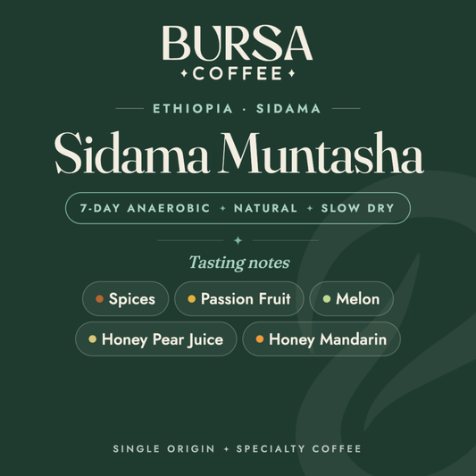 Ethiopia Bursa Sidama Muntasha 7D Anaerobic Natural Slow Dry - 1KG