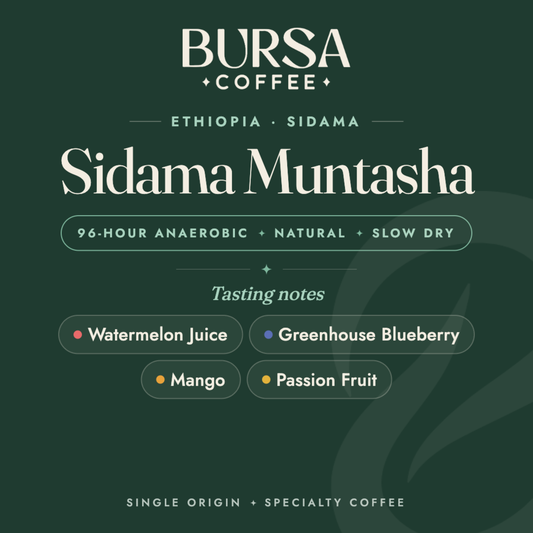 Ethiopia Bursa Sidama Muntasha 96H Anaerobic Natural Slow Dry - 1KG