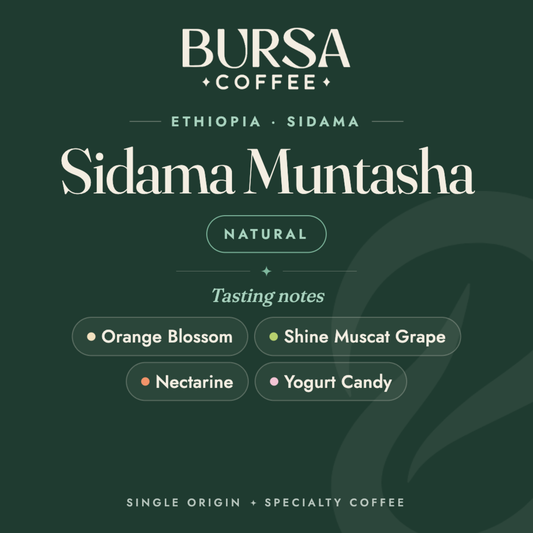 Ethiopia Bursa Sidama Muntasha Natural - 1KG