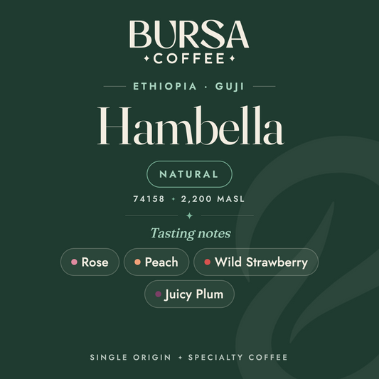 Ethiopia Bursa Guji Hambella Dimtu Natural - 1KG