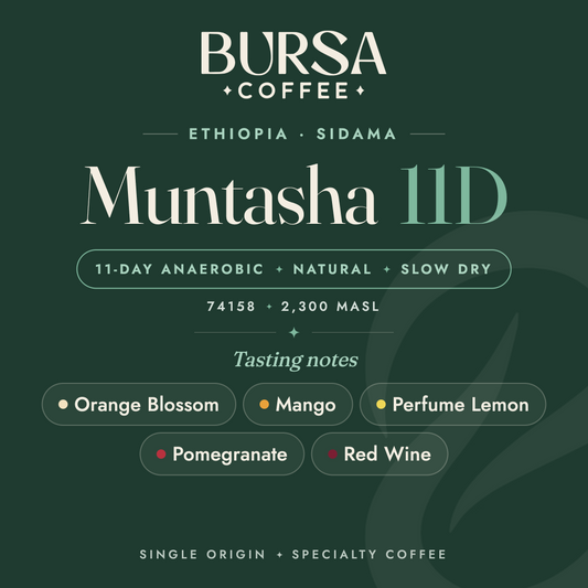 Ethiopia Bursa Sidama Muntasha 11D Anaerobic Natural Slow Dry - 1KG