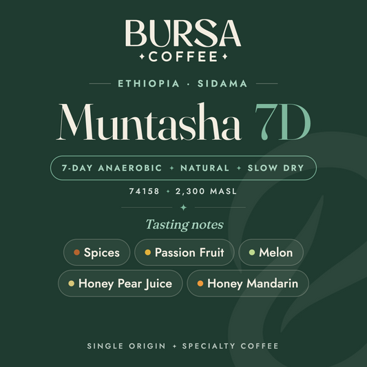 Ethiopia Bursa Sidama Muntasha 7D Anaerobic Natural Slow Dry - 1KG