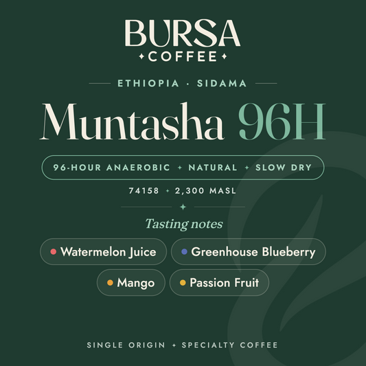 Ethiopia Bursa Sidama Muntasha 96H Anaerobic Natural Slow Dry - 1KG