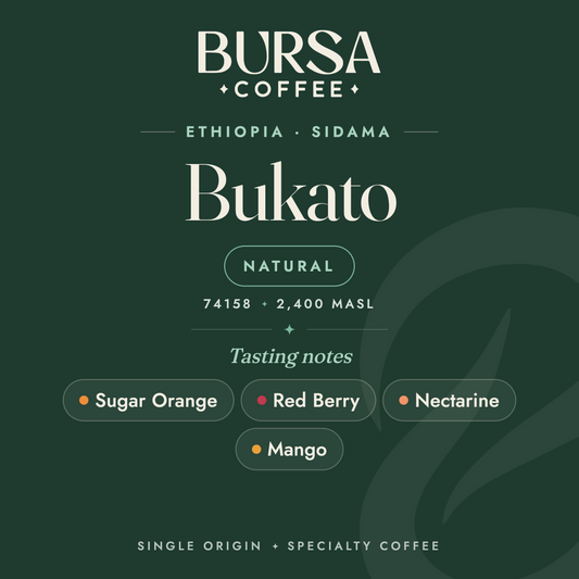 Ethiopia Bursa Sidama Muntasha Bukato Natural - 1KG