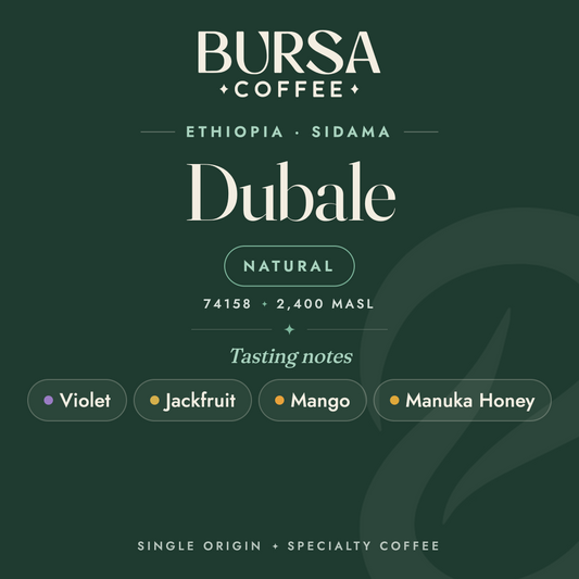 Ethiopia Bursa Sidama Muntasha Dubale Natural - 1KG