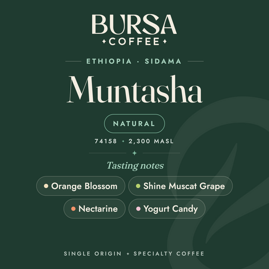 Ethiopia Bursa Sidama Muntasha Natural - 1KG